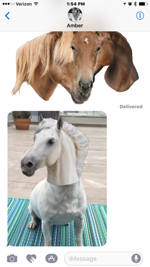 Horse Head(圖4)-速報App