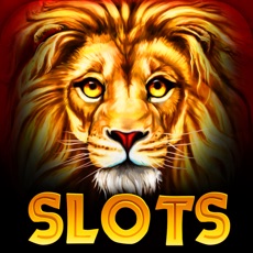 Activities of Slots Casino - LION HOUSE