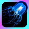 Jellyfish Encyclopedia