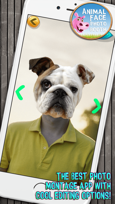 How to cancel & delete Animal Face Photo Booth with Funny Pet Sticker.s from iphone & ipad 2