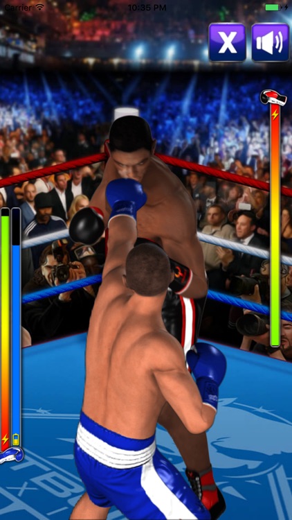 Ultimate Boxing screenshot-4