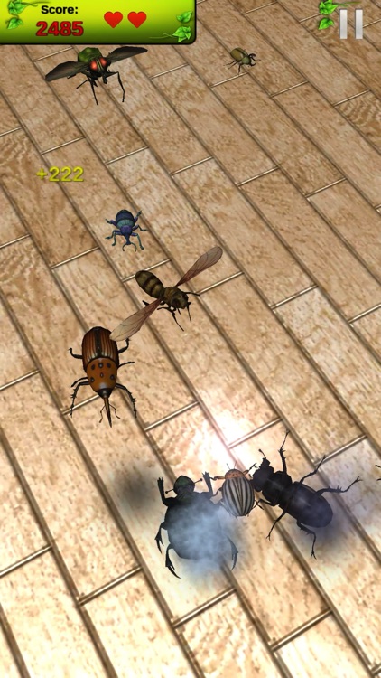 Real Bugs: Beetle Smasher 3D