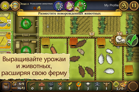 Agricola screenshot 3