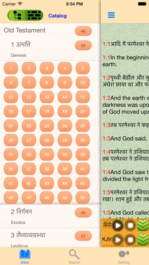 Hindi-English Bilingual Indian Audio Holy Bible(圖2)-速報App