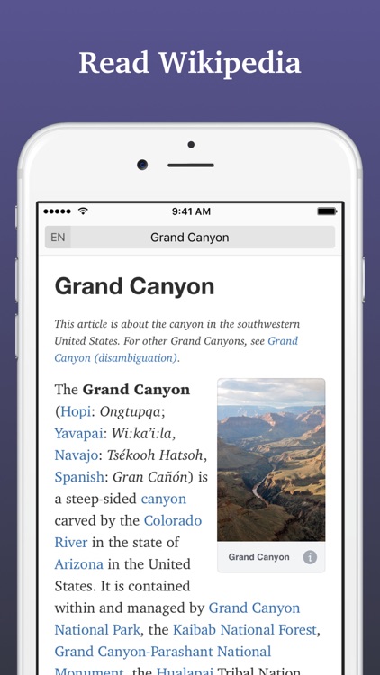 Wonder: Browser for Wikipedia