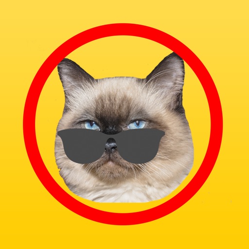 Cat Emoji Sticker Pack Icon