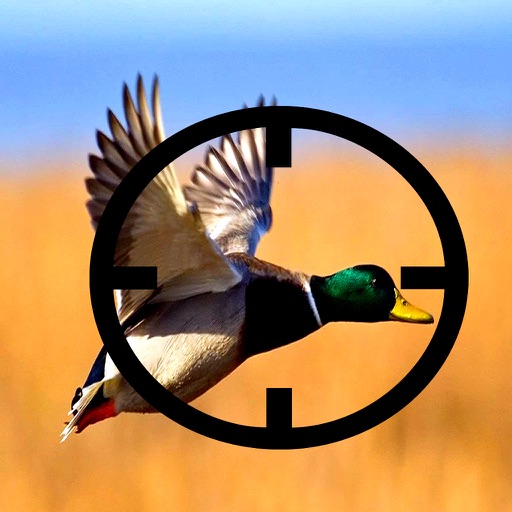 Angry Duck Hunter : Ready for the Shooting Season iOS App