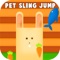 Pet Sling Jump - Free Kids Archery Shooting Games