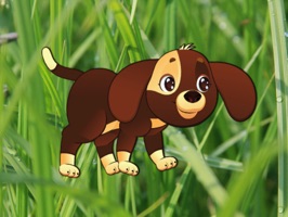 Cute little dog