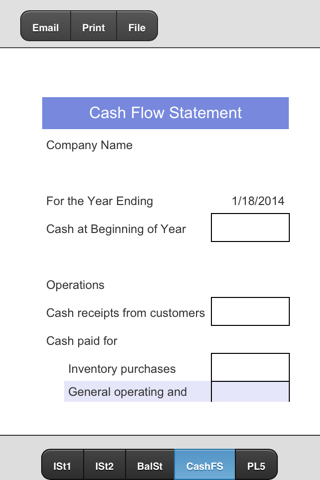 Financial Statements - náhled