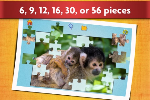 Cute Baby Animals Puzzle - Relaxing photo picture jigsaw puzzles for kids and adults screenshot 2