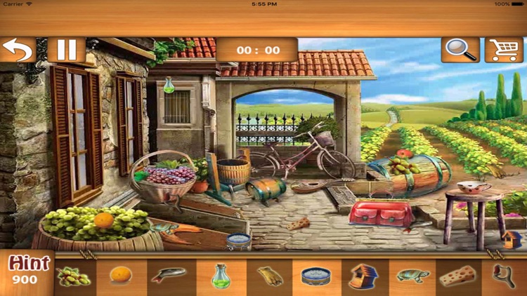 Free Hidden Objects : Backyard Hidden Object Game