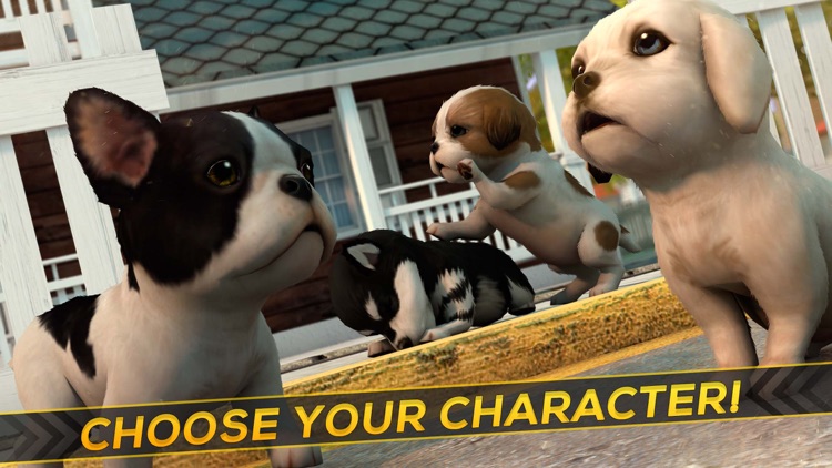 Dog Care Simulator: Save your Puppy from the Cars!