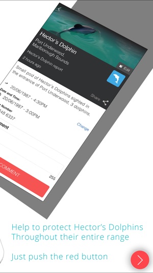 Hector's Dolphin Sightings(圖2)-速報App