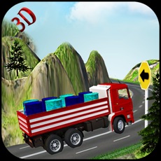 Activities of Cargo Truck Driver Simulator 2017