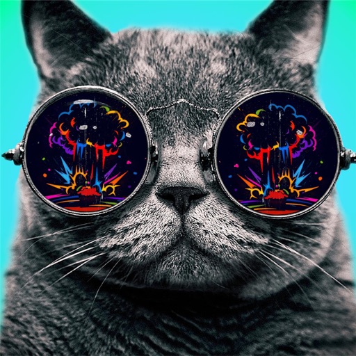 Creative Cats Wallpapers HD-Quotes and Art Picture icon