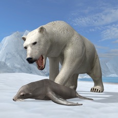 Activities of Arctic Polar Bear