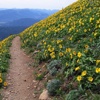 Trailguru