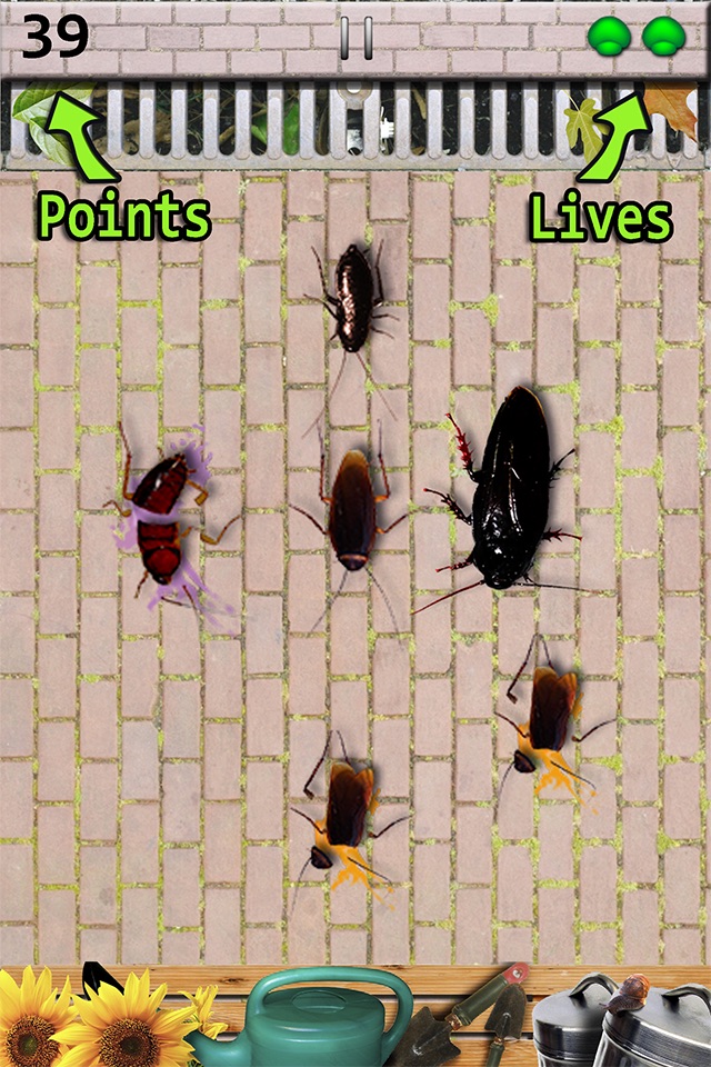Cockroach Smasher - Best Game screenshot 2