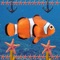 Tap on screen to drive the fish swim and playing piano smoothly, avoid the maze of Starfishs, Coral and Anchors