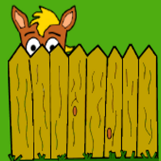 Activities of Learn Animals: Hide and Seek