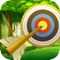 Shoot Arrow - Bow Game Free