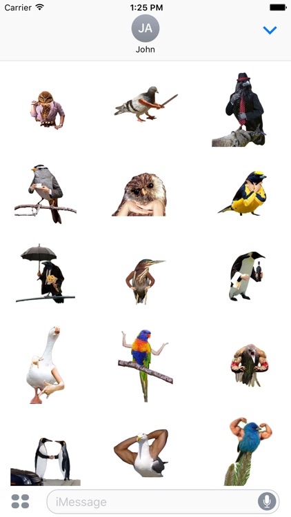 Birds with Arms Stickers by Devin San Martin