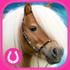 Cute Ponies Puzzles - Free Logic Game for Kids