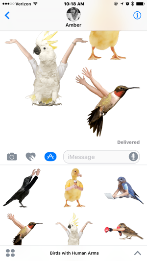 Birds with Human Arms(圖3)-速報App