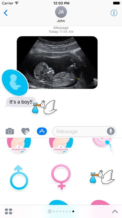 Pregnancy Stickers Pack