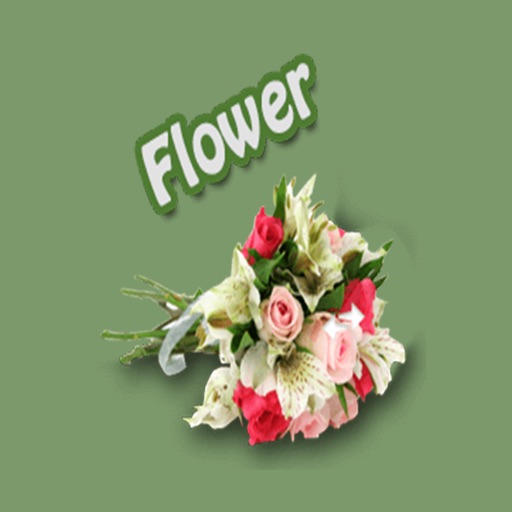 Flowers Stickers Pack FOr iMessage icon