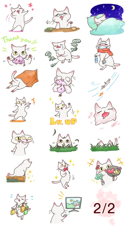 White Cat