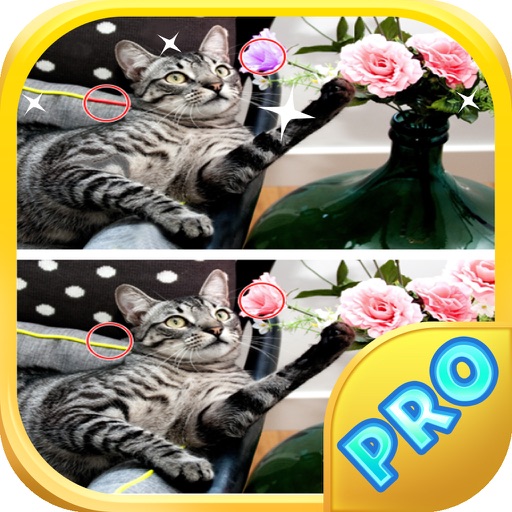 Cats Spot The Difference 10 iOS App