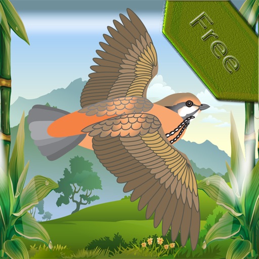 Birds Watch iOS App