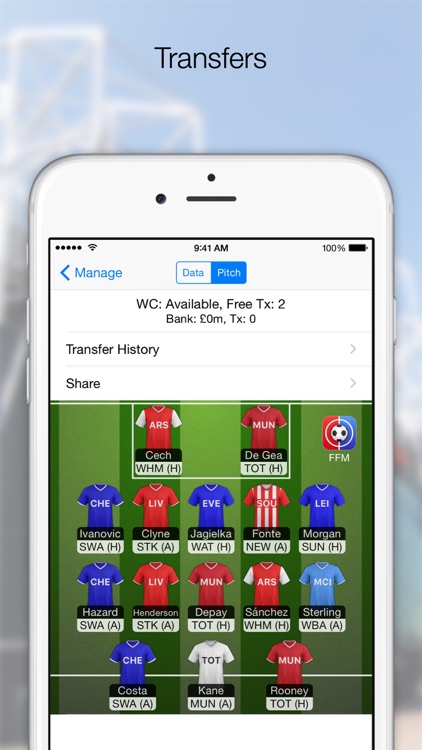 Fantasy Football Manager, Lite