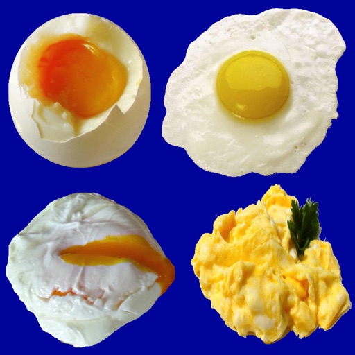 Any egg style timer icon
