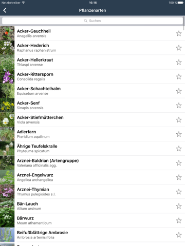 Wildpflanzen zum Genießen screenshot 2