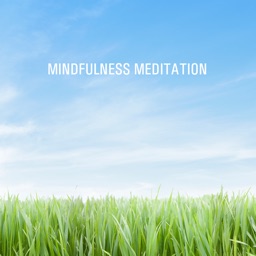 Mindfulness Meditation - Ro og centrering