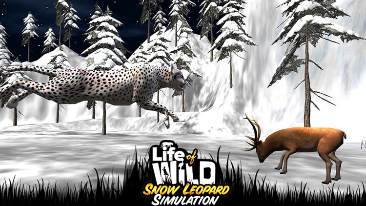 Life of Wild Snow Leopard Simulation 3D - Experience The Life Of Real Snow Leopard screenshot-3
