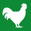 FlockPlenty - Chicken Egg Tracker - George Lee