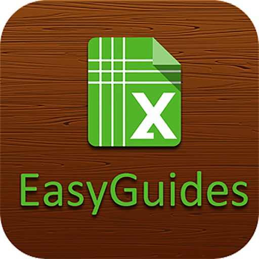 Easy Guides for Excel 2016 - Learn Excel Microsoft Excel 2016 Pro