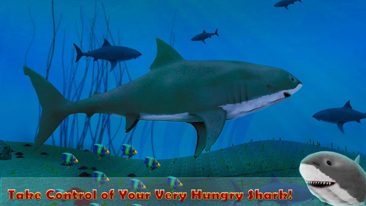 Mad Shark Attack Simulator 3D screenshot-3