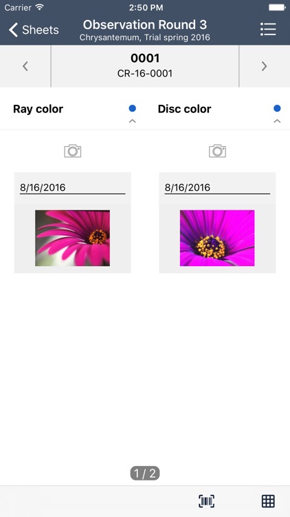 E-Brida Field for E-Brida 4