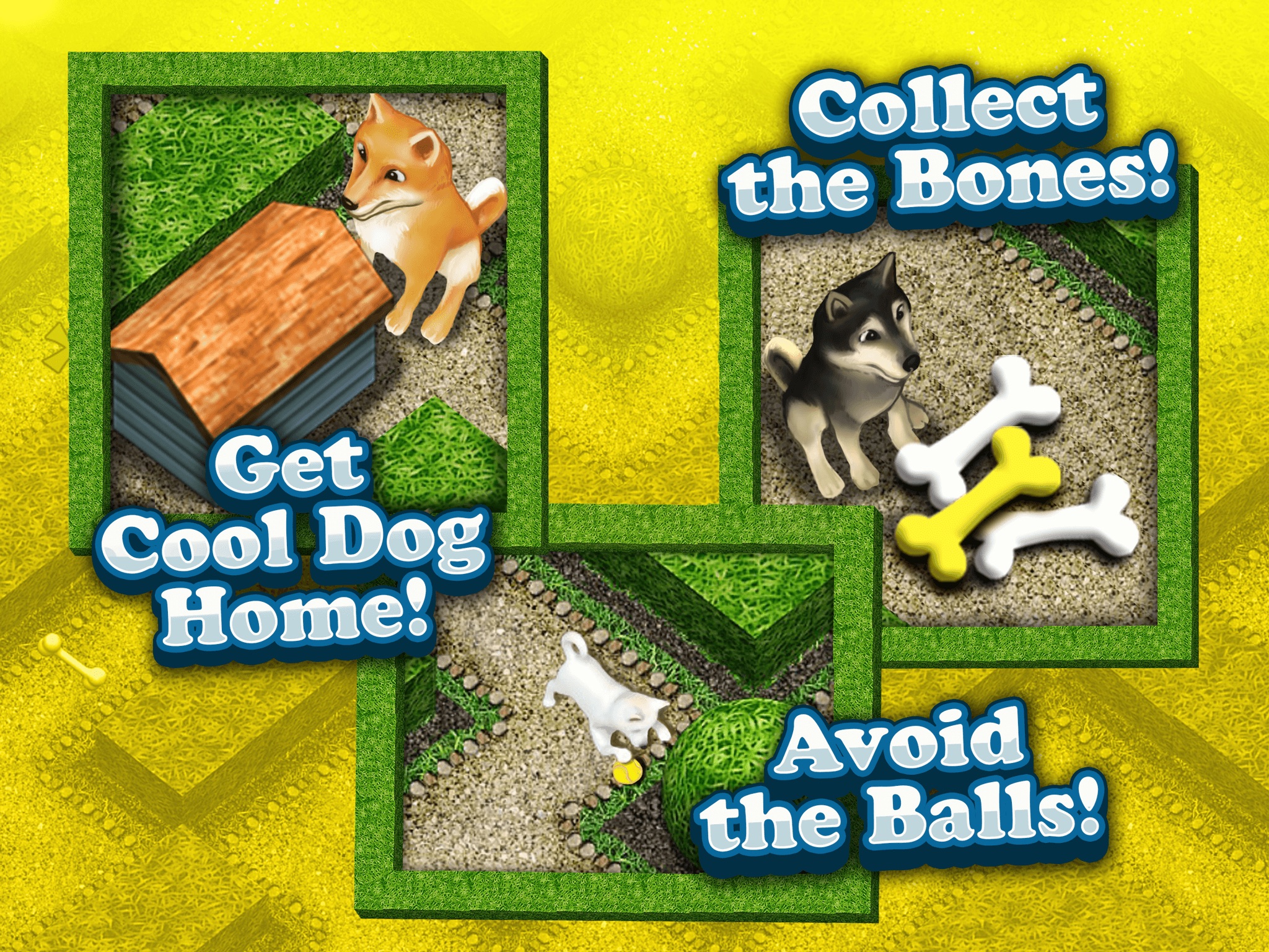 Cool Dog 3D My Cute Puppy Maze Game for Kids Free screenshot 3