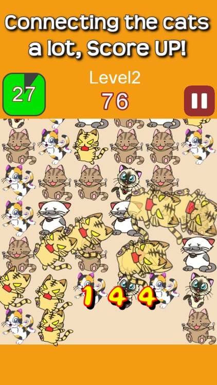 Puzzle&Cat