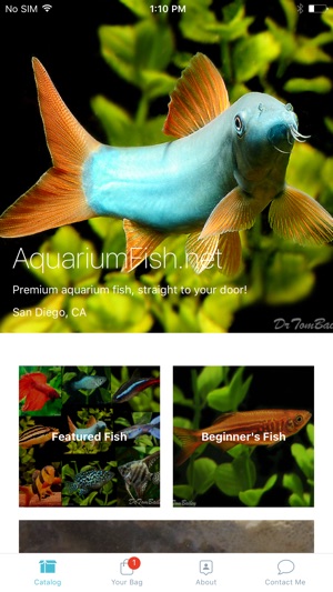 AquariumFish.net