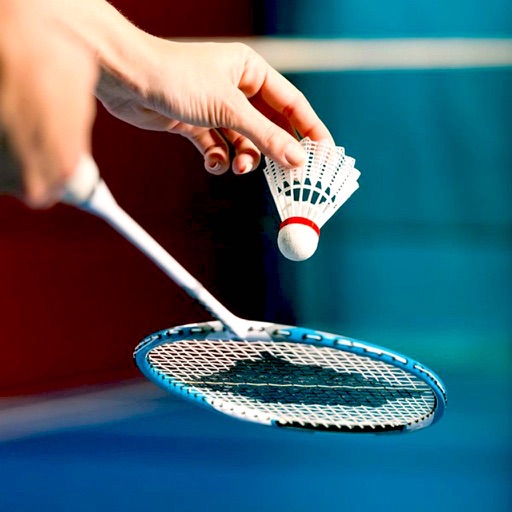 Badminton Super Smash Challenges iOS App