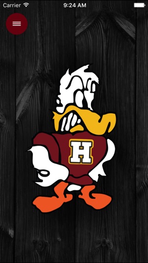 Havana Schools Ducks