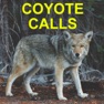 Get Coyote Calls for Predator Hunting Coyote for iOS, iPhone, iPad Aso Report