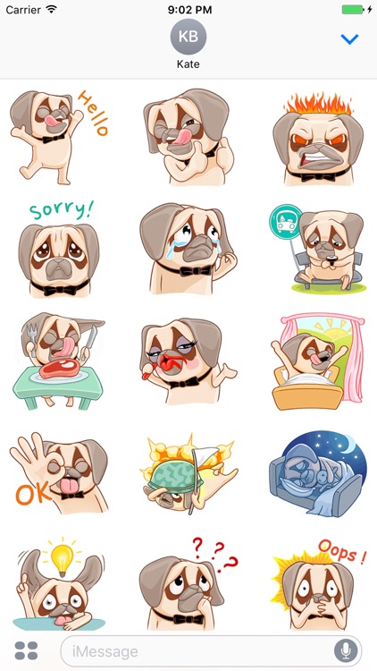 Crazy Pug - Cute dog stickers for iMessage